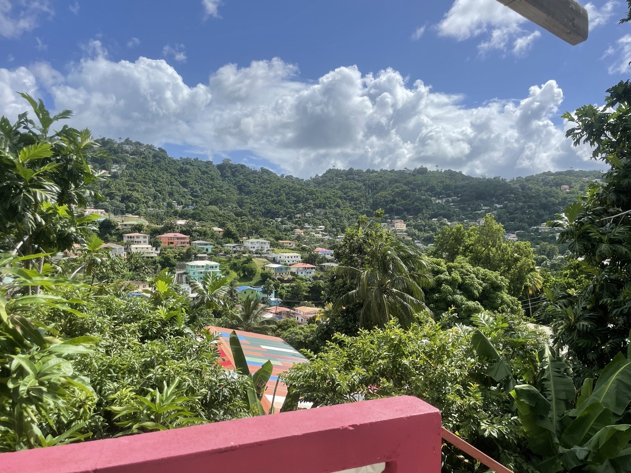 houses for sale in st lucia castries view