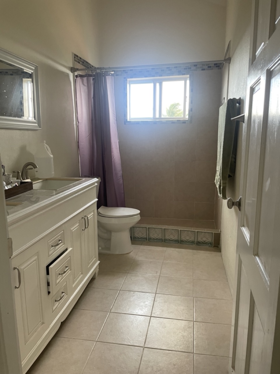 St Lucia Real Estate Villa Coulibri for sale toilet2