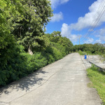 lot for sale in cedar heights vieux fort