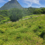 Land at Morne Sion, Choiseul