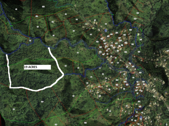 19 Acres Agricultural Land For Sale in Dennery