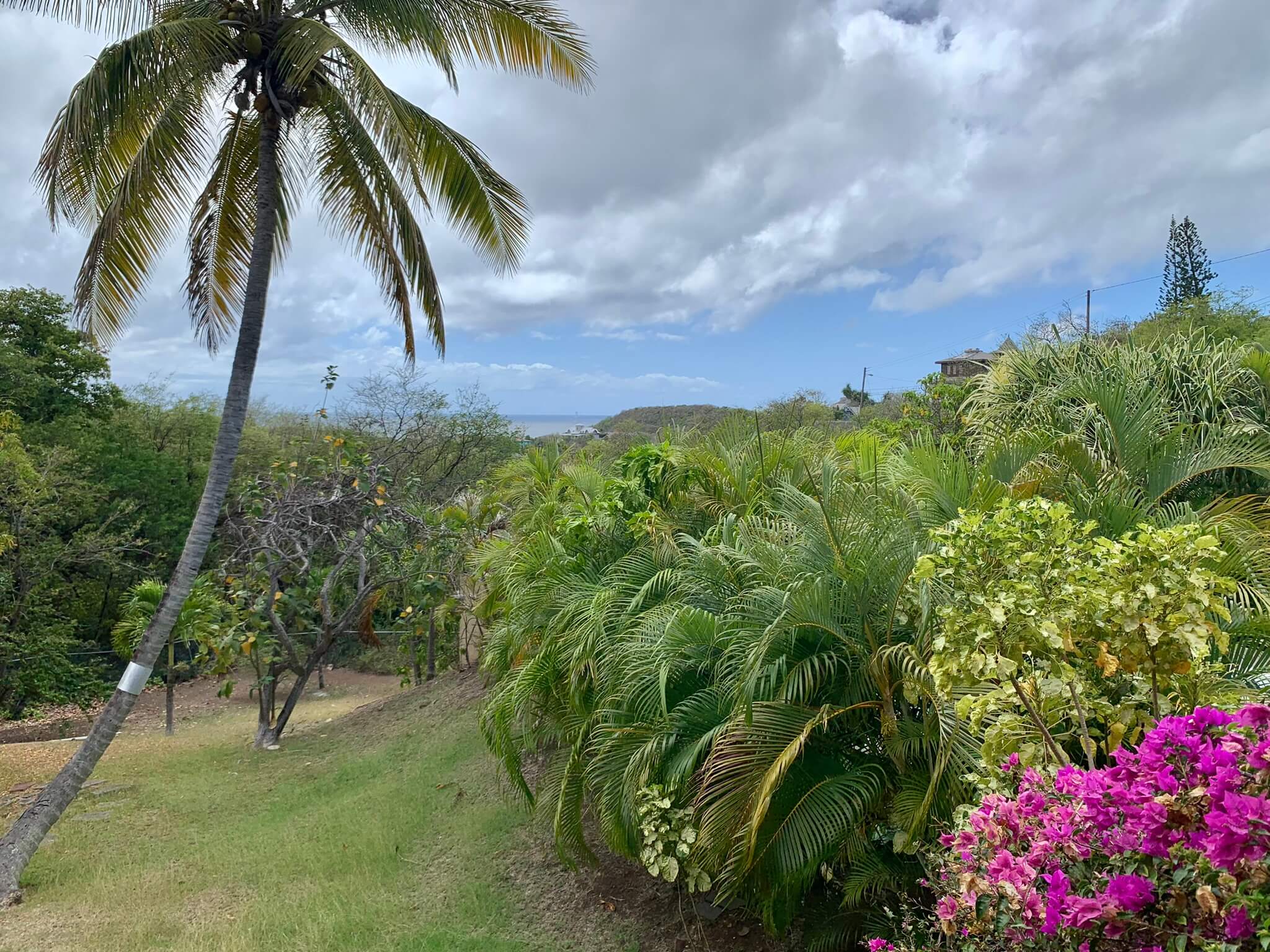 St Lucia Real Estate Golf Ridge Cap Estate yard