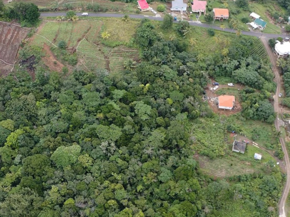 land for sale at boguis barbonneau real estate st lucia