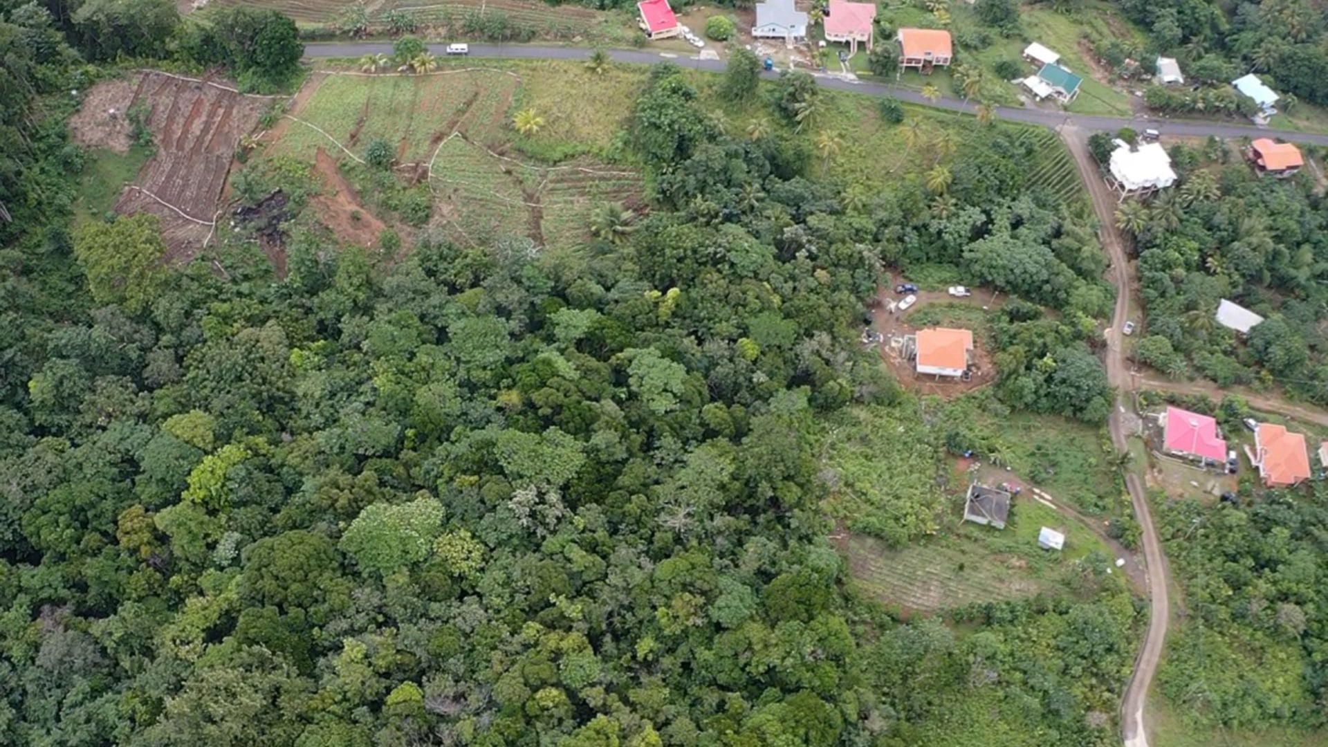 Land For Sale At Boguis Babonneau