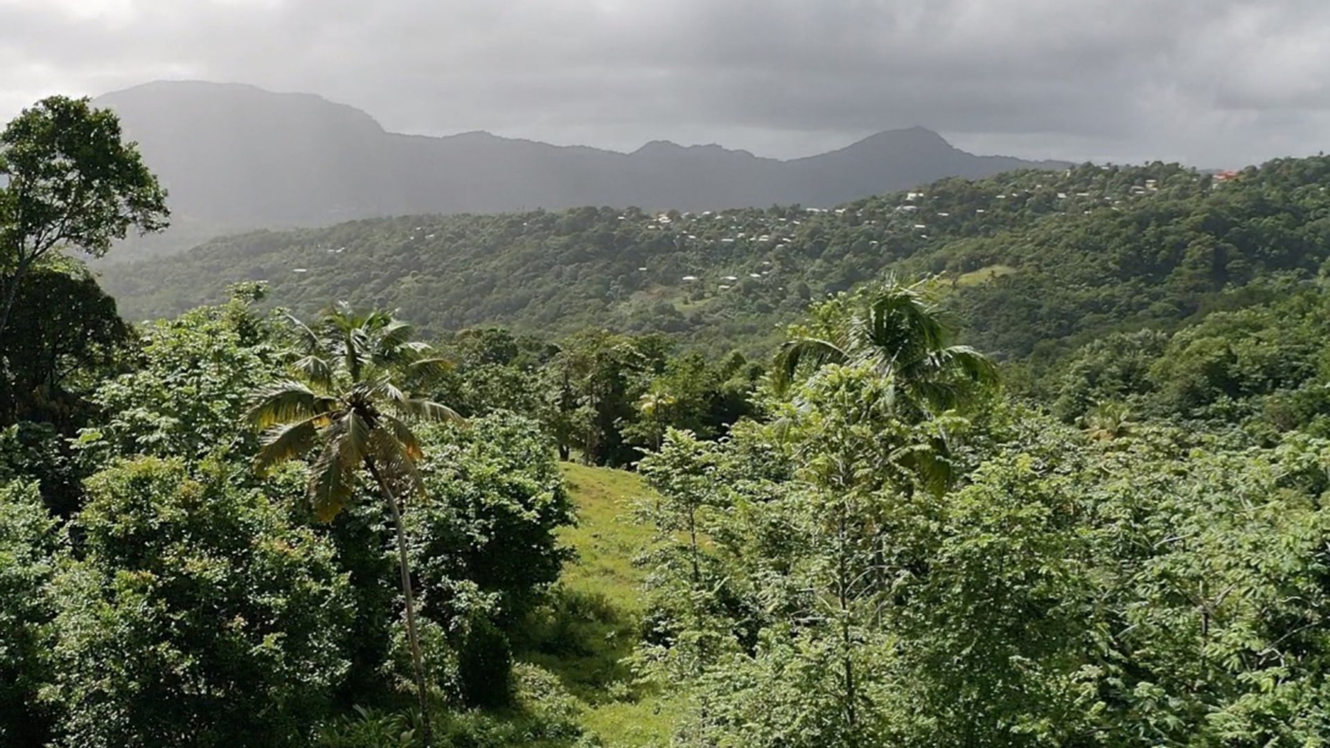 st lucia real estate land for sale in boguis babonneau