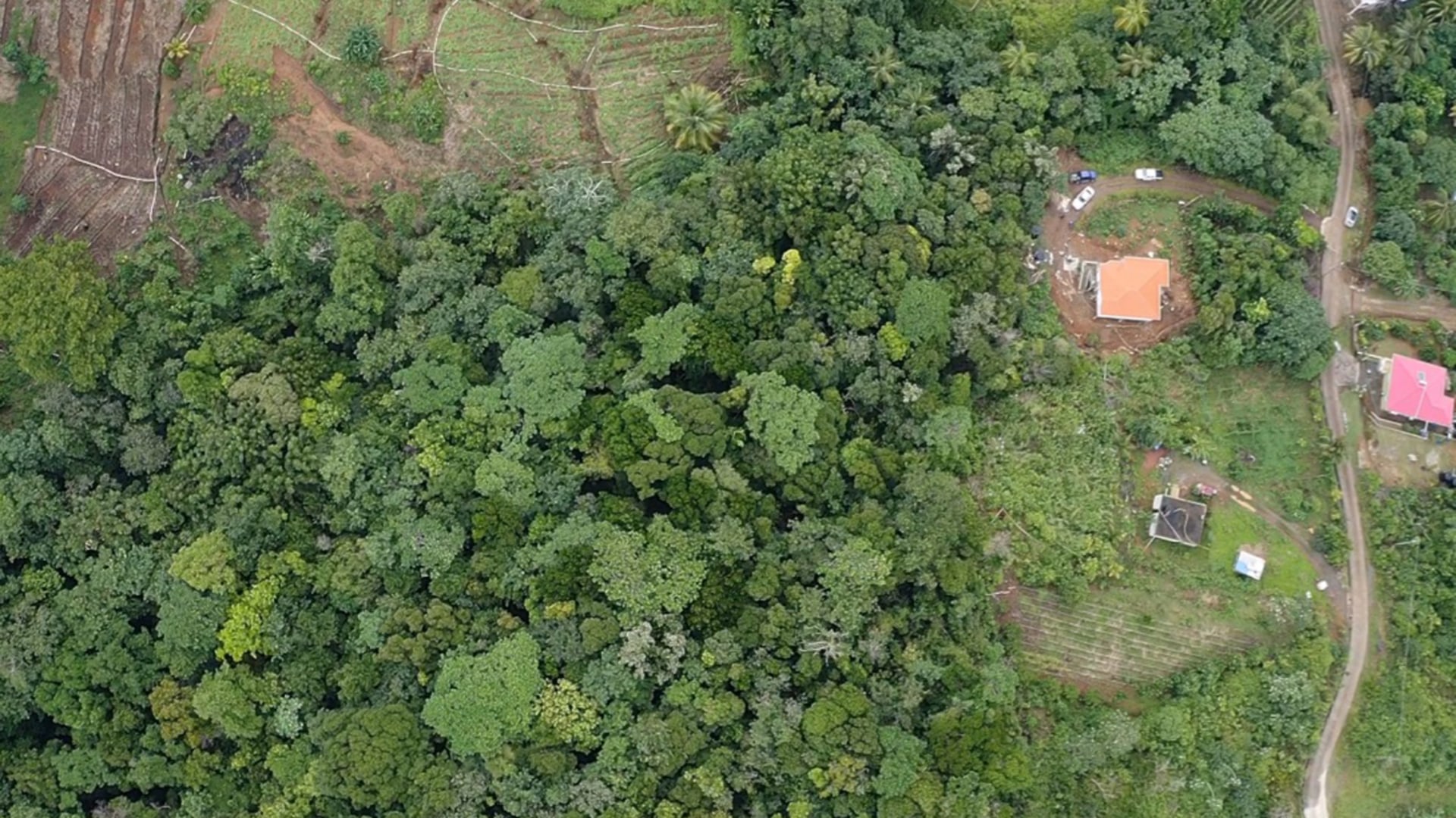 land for sale in boguis babonneau houses nearby