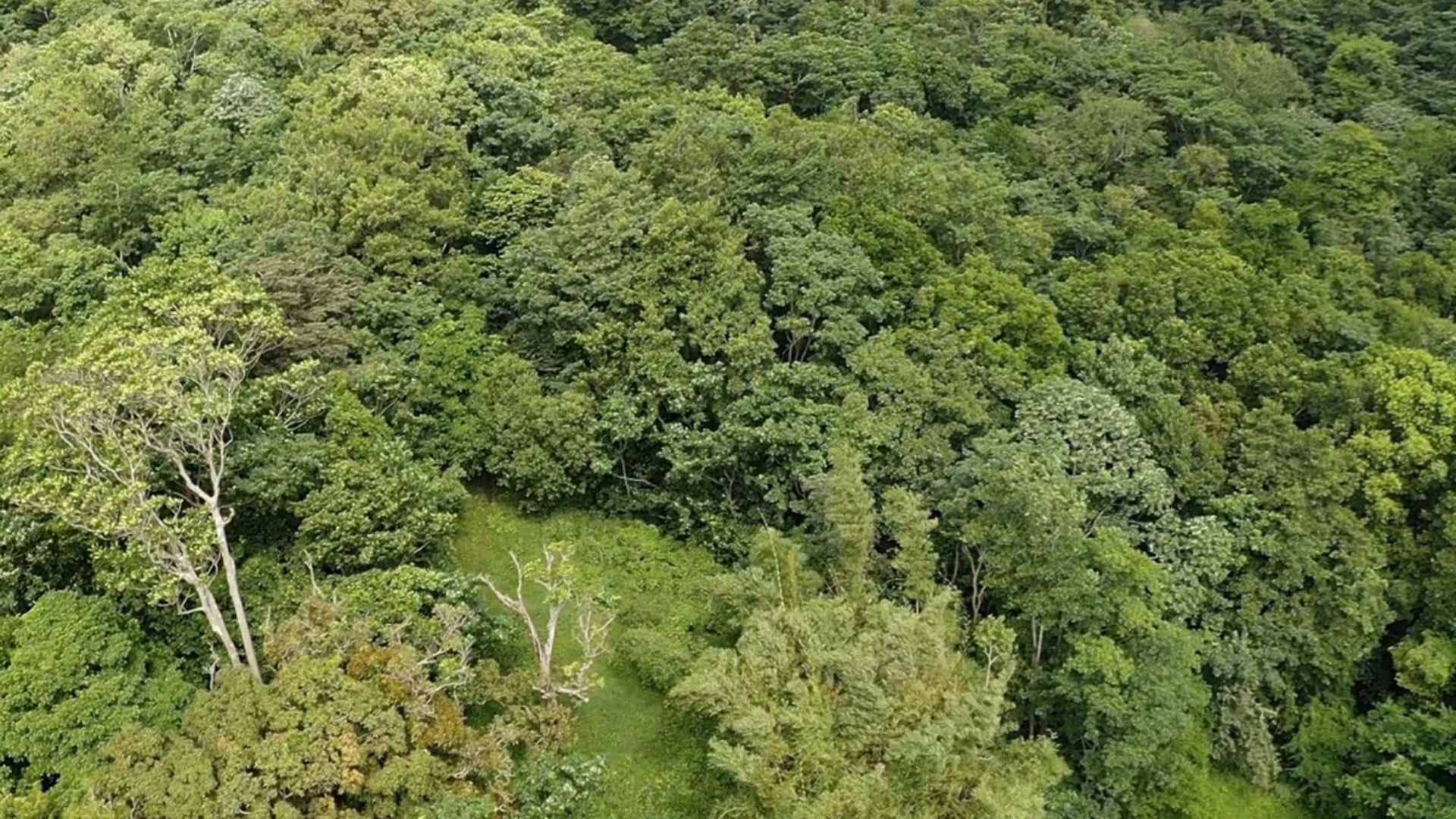 land for sale in boguis babonneau st lucia real estate
