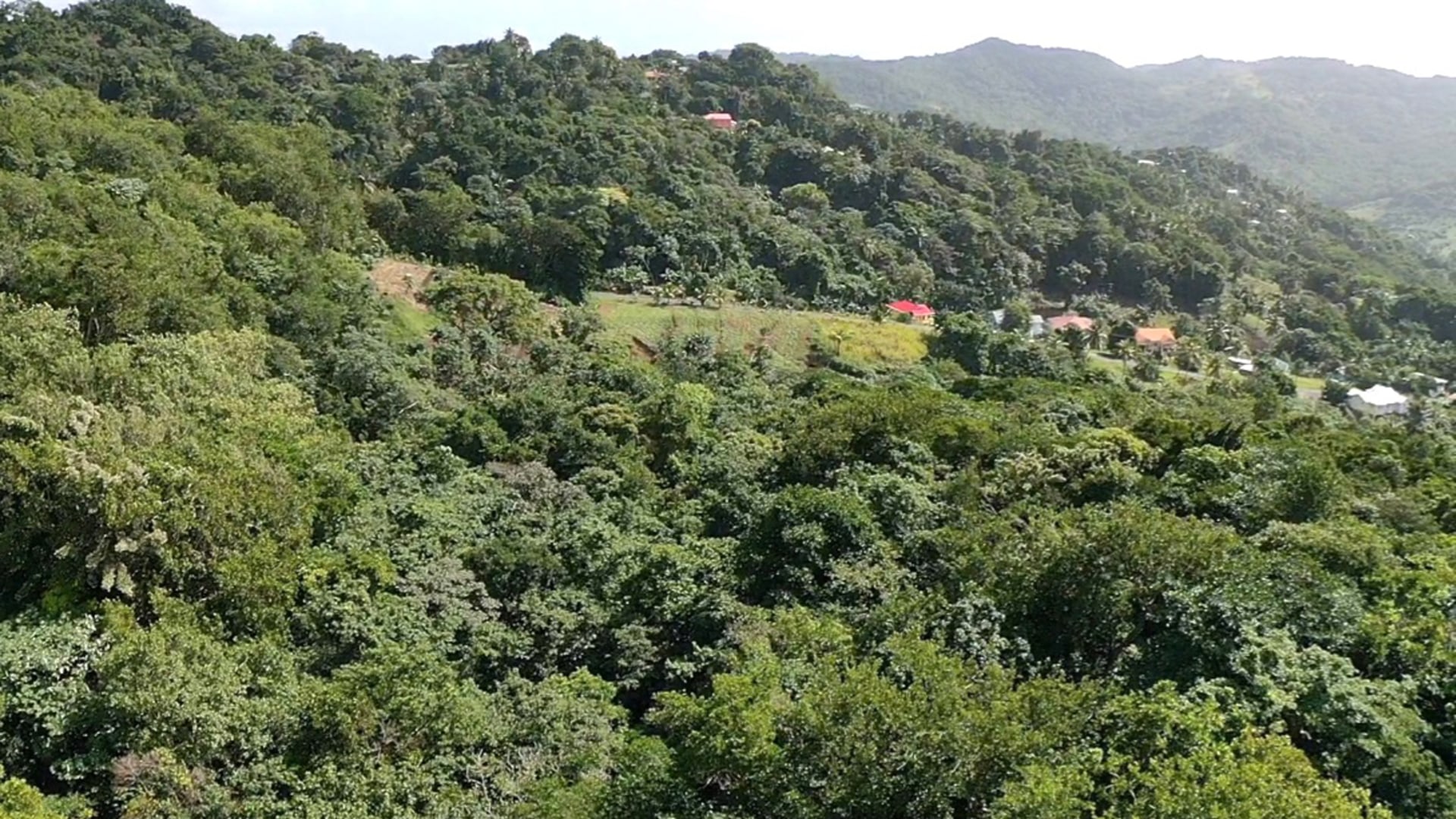 land for sale in boguis babonneau gently sloping