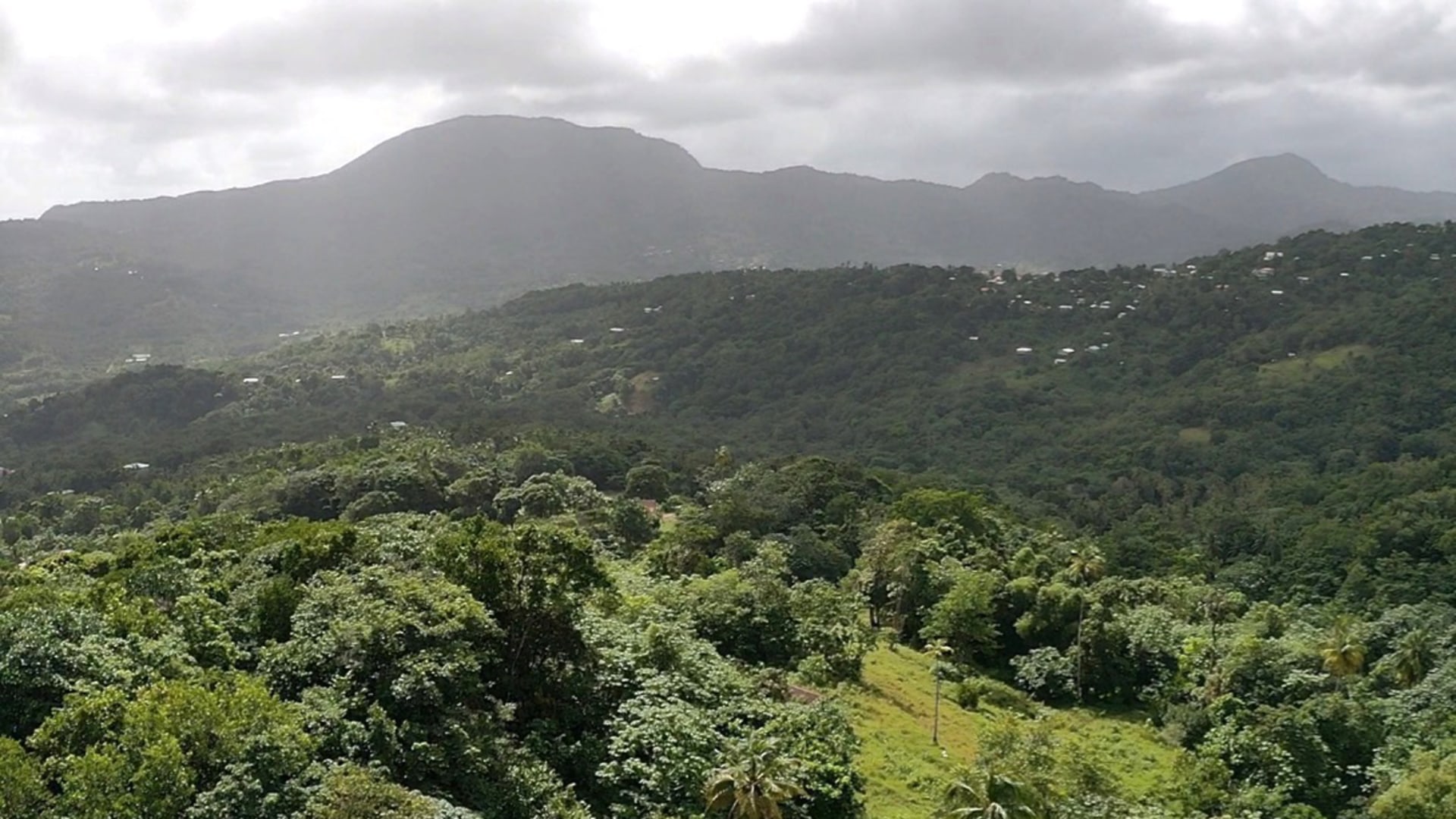 land for sale in boguis babonneau real estate