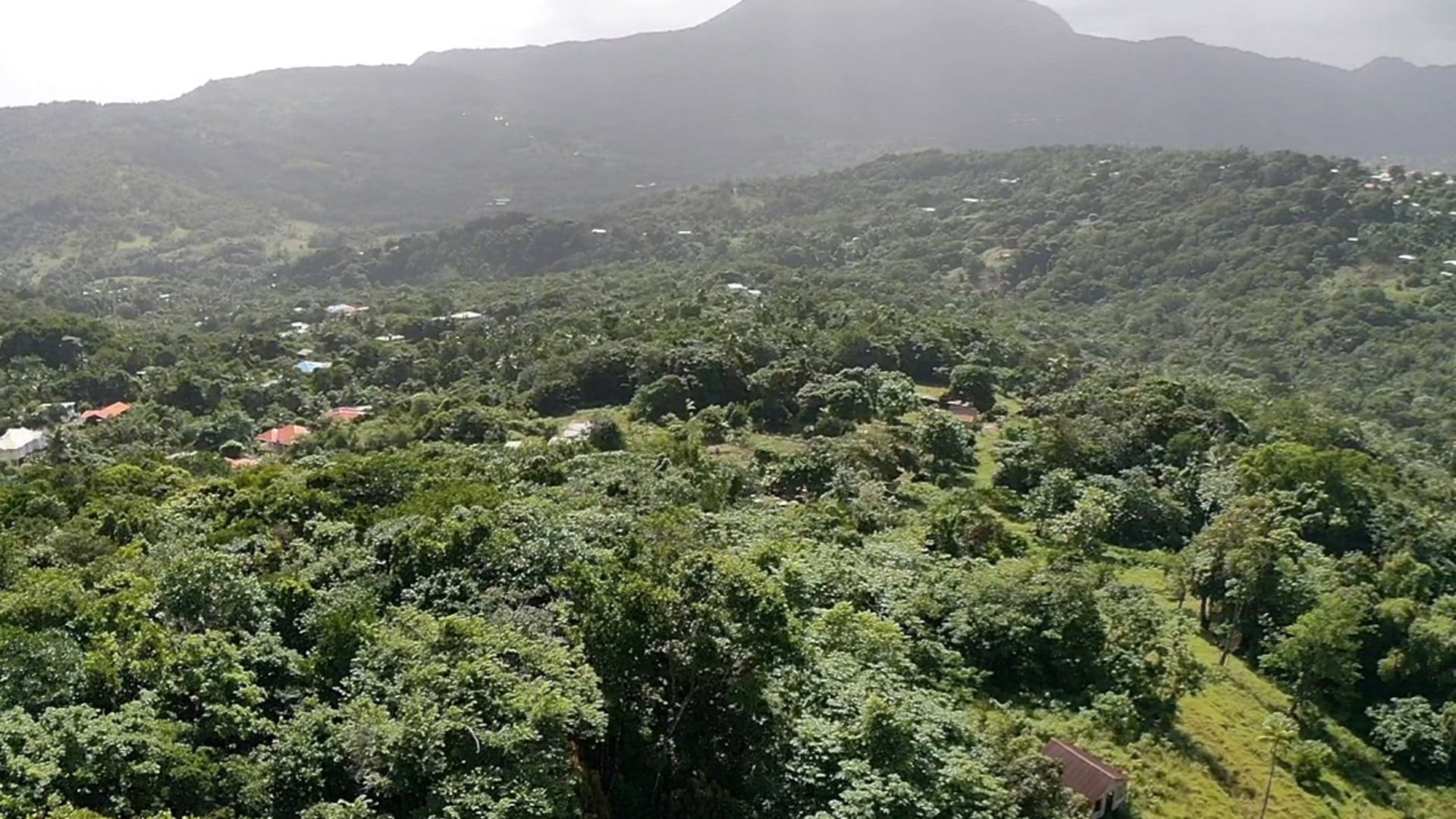 land for sale in boguis babonneau undeveloped