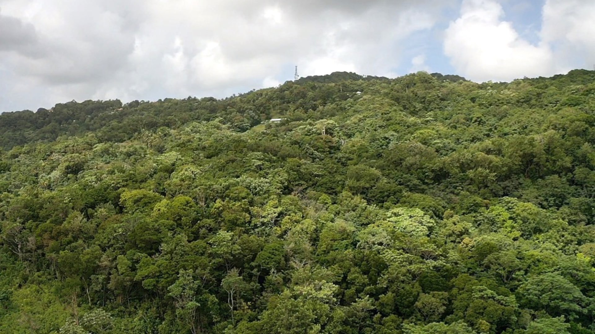 land for sale in boguis babonneau