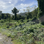 land for sale in augier vieux fort st lucia
