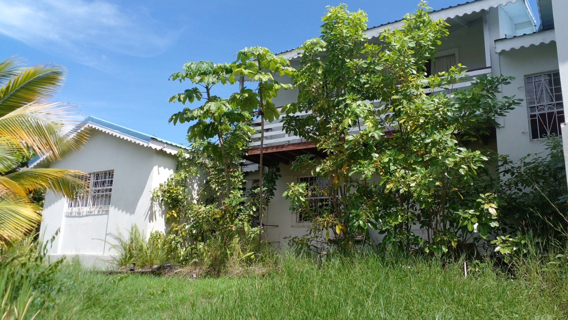 Rodney Bay, St lucia real estate fixer upper bush