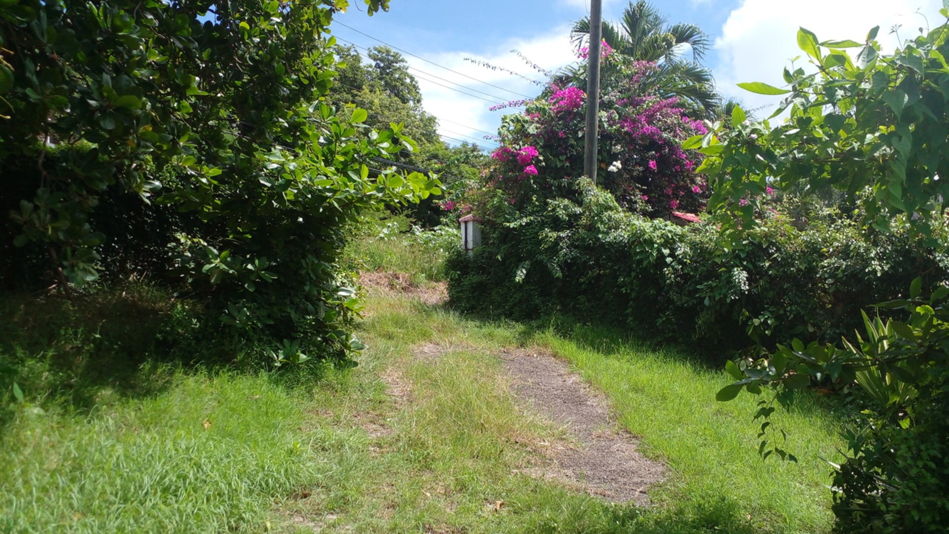 Rodney Bay, St lucia real estate fixer upper driveway