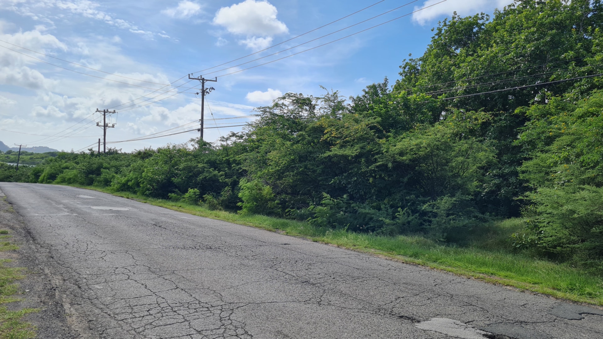st lucia real estate rodney bay st lucia land for sale shrubs