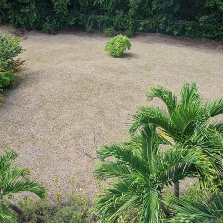 780
