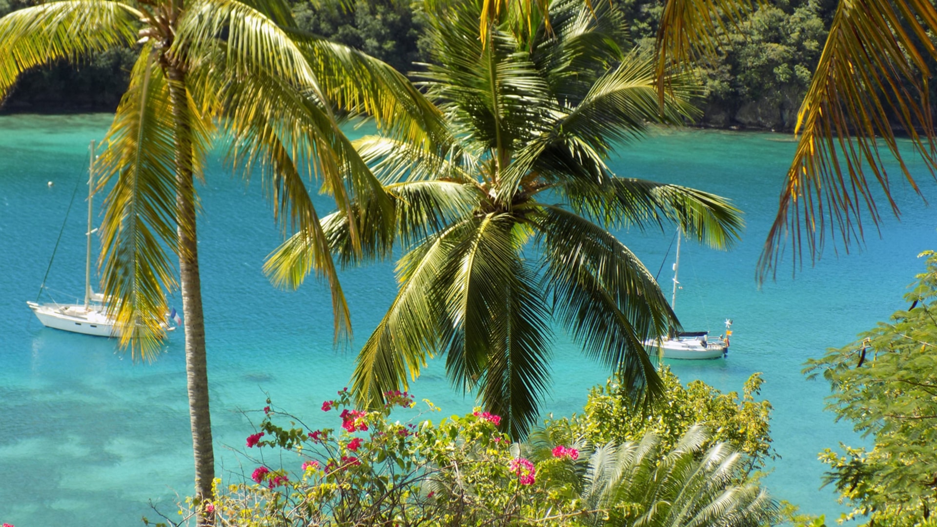 homes for sale in st lucia marigot bay view