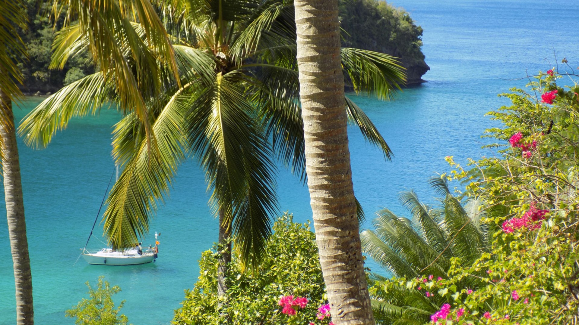 homes for sale in st lucia marigot bay coconut