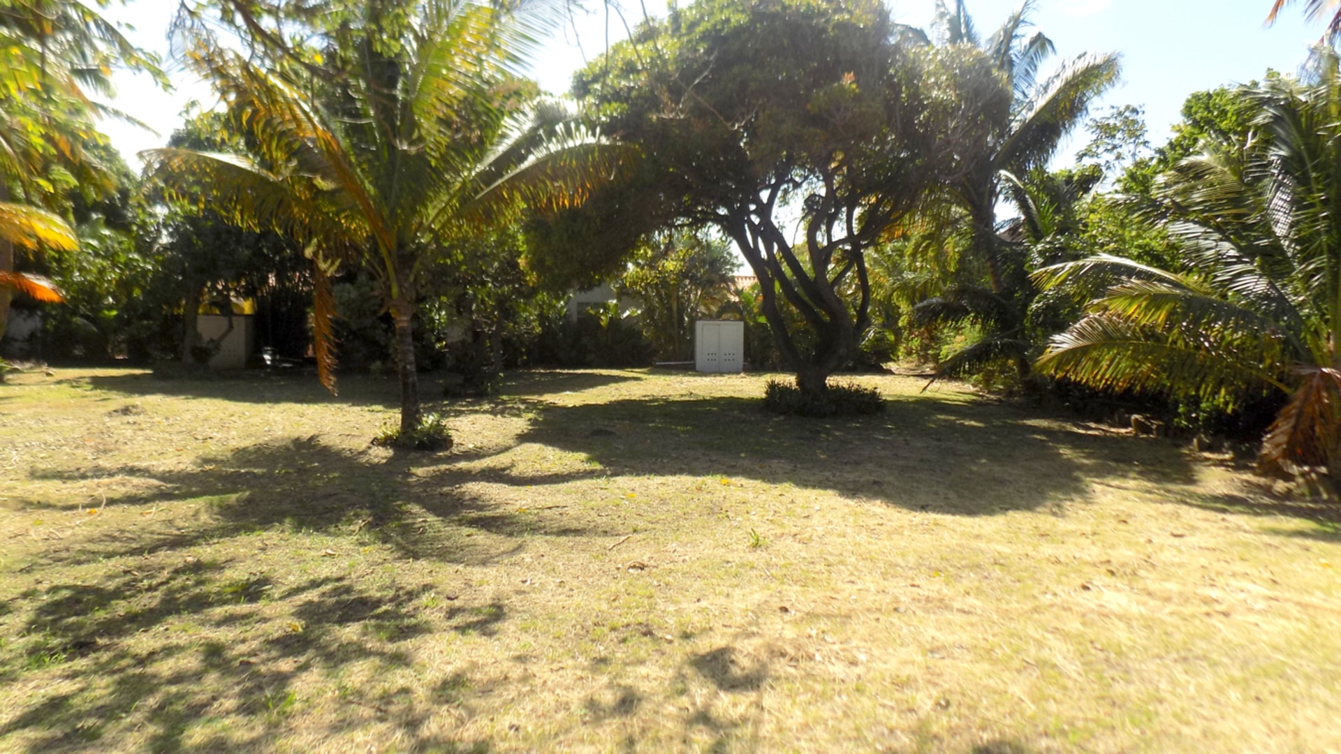 st lucia ral estate the palm villa grounds