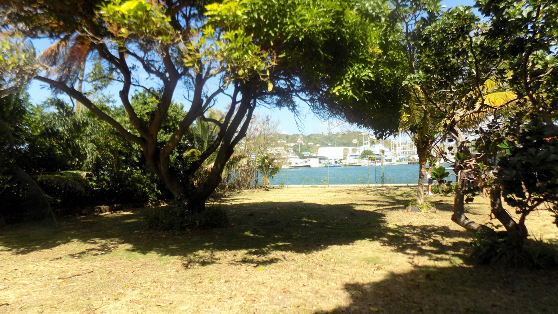 st lucia ral estate the palm villa rodney bay