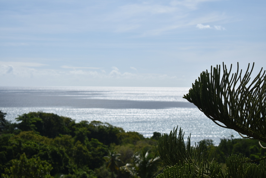 House for salen St lucia laborie Real Estate