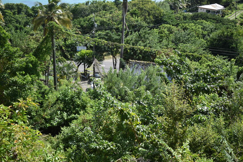 House for salen St lucia laborie Real Estate