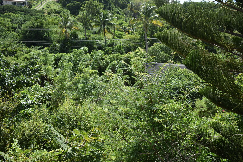 House for sale in St lucia laborie