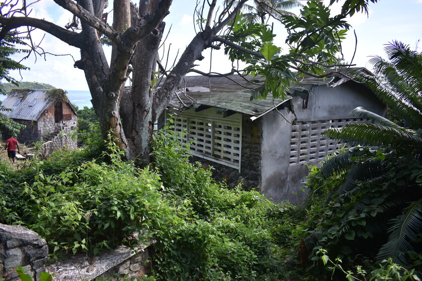 House for sale in St lucia Carellie Real Estate breadfruit