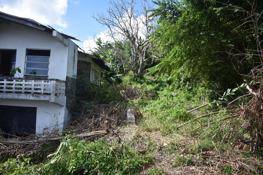 House for sale in St lucia Carellie Real Estate bush