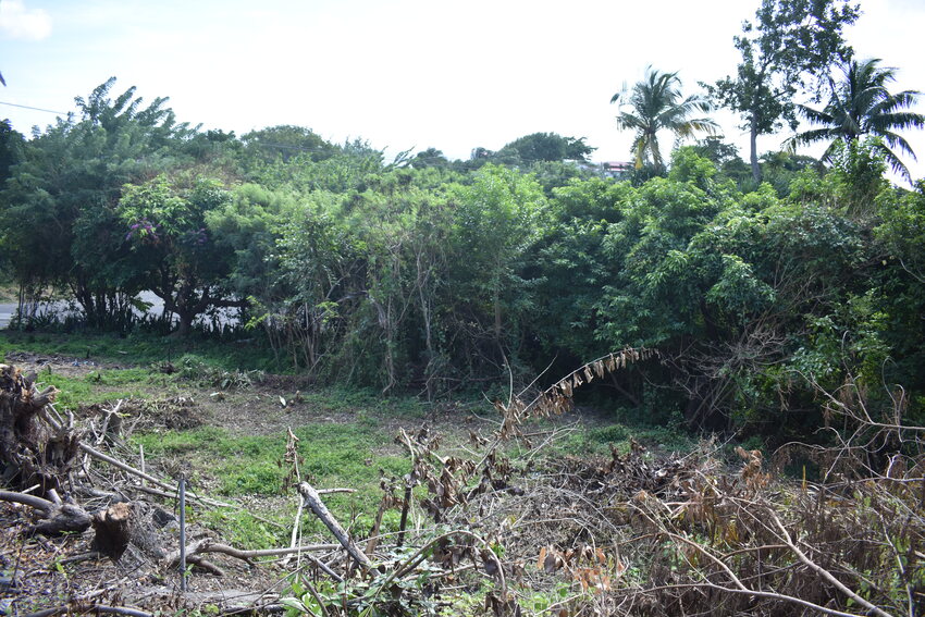 House for sale in St lucia Carellie Real Estate land