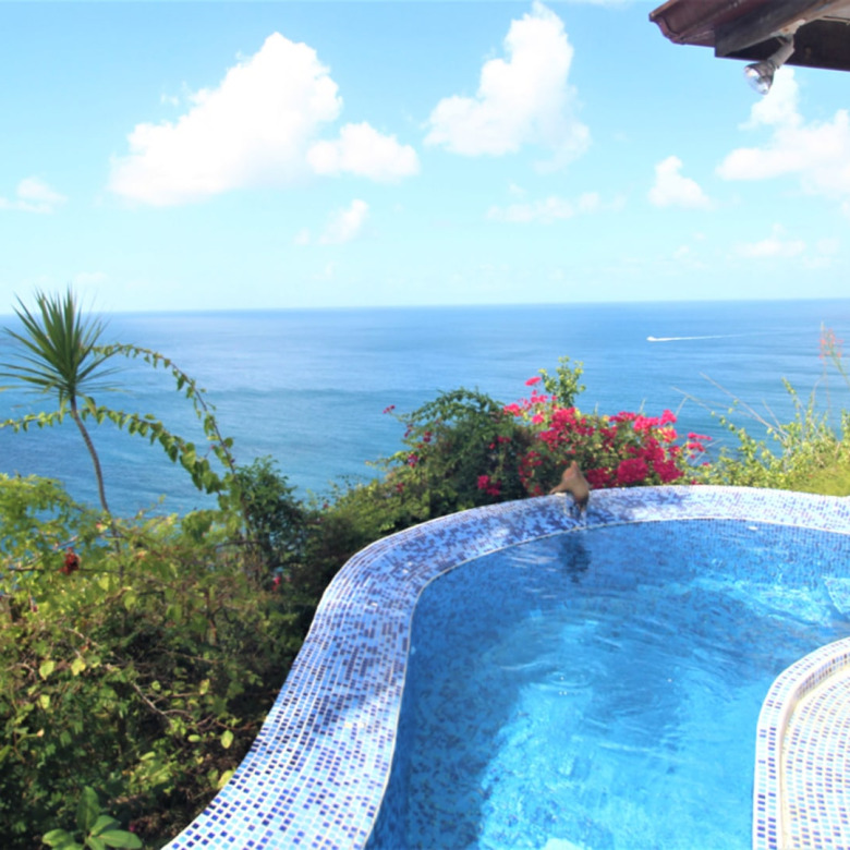 St Lucia Real Estate The Cliff House Overlooking Marigot Bay small pool