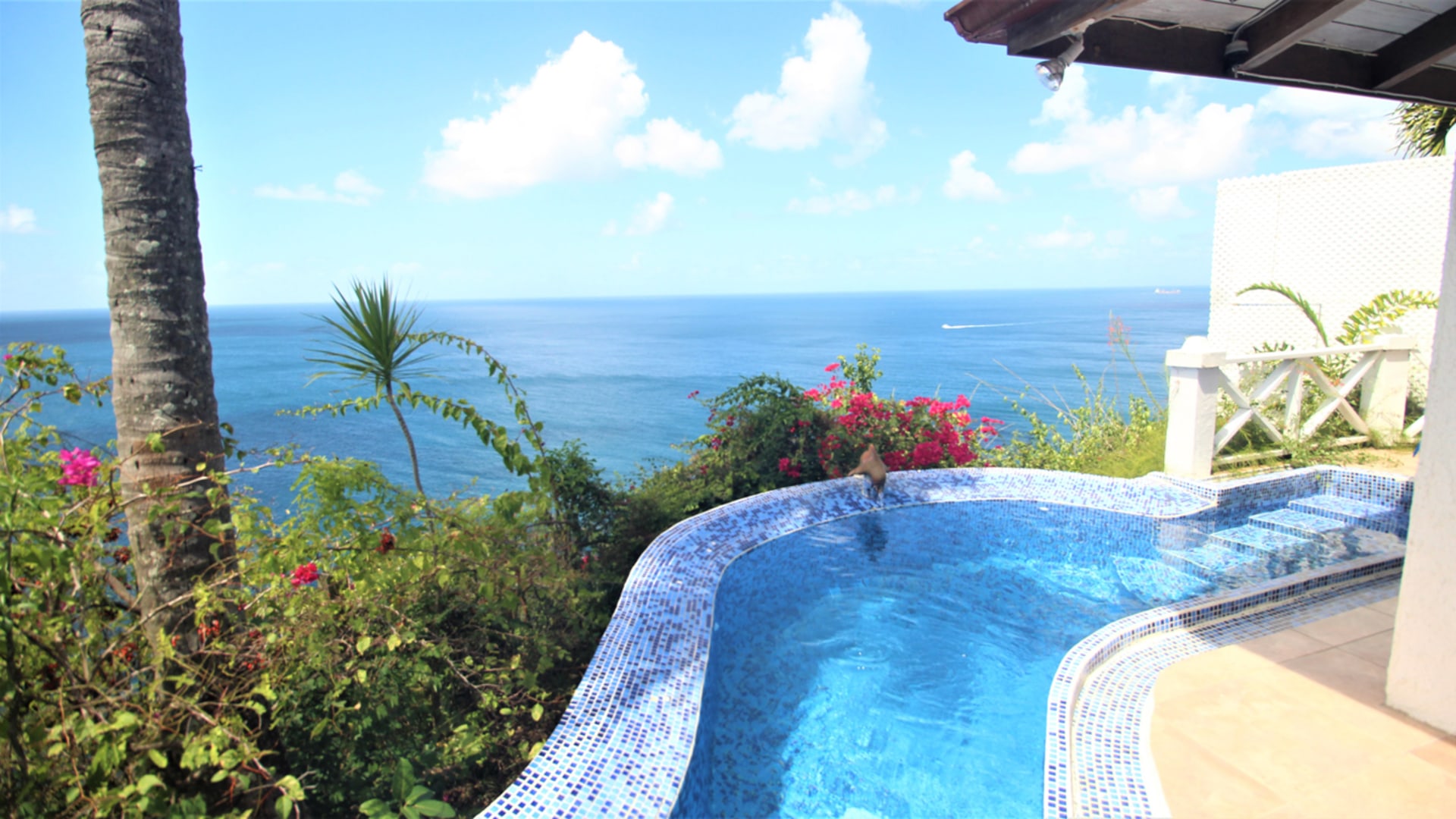 St Lucia Real Estate The Cliff House Overlooking Marigot Bay small pool