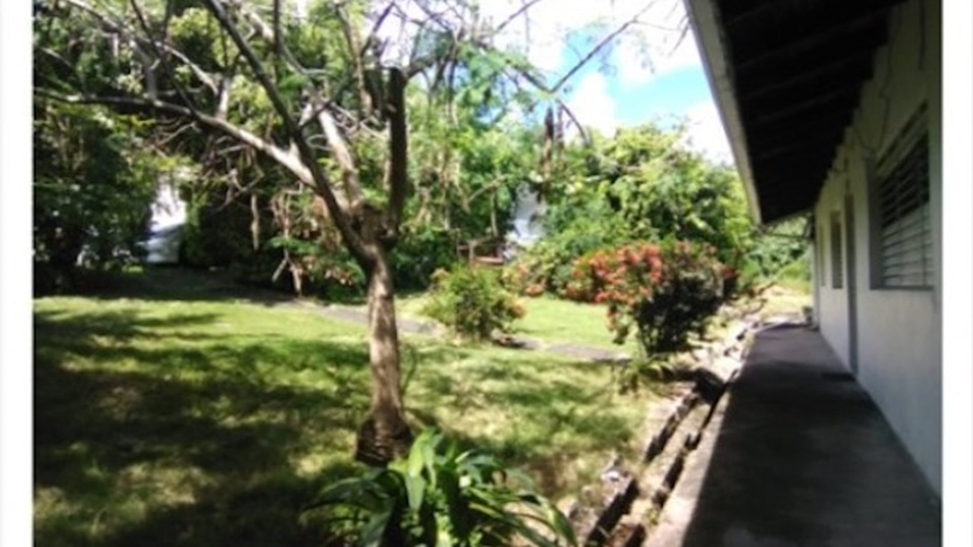 st lucia real estate fixer upper yard