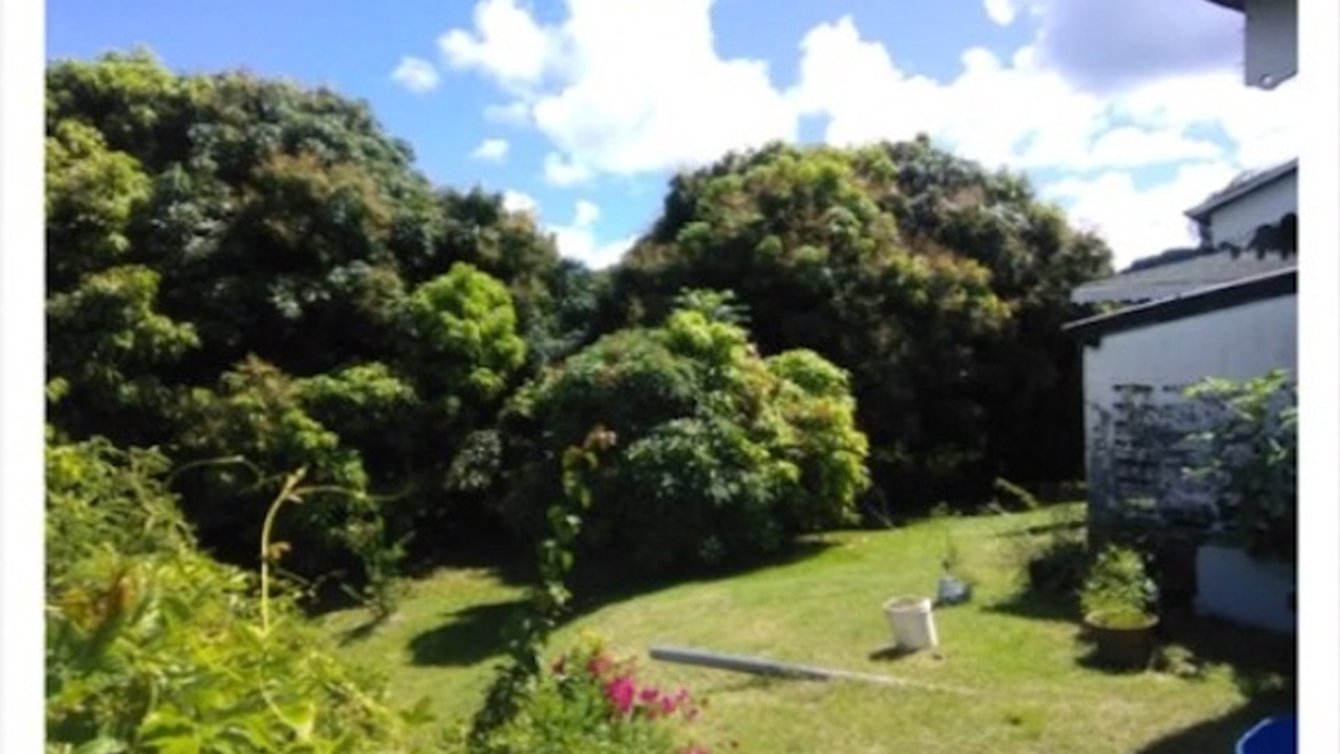 st lucia real estate fixer upp land