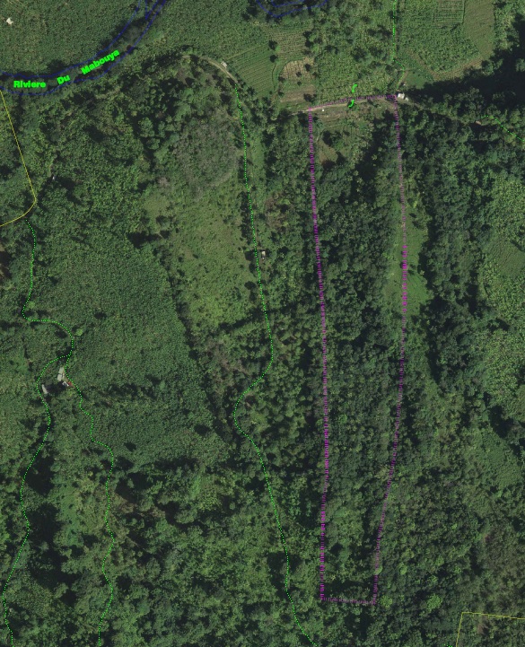 st lucia real estate 15 Acres Farm Land at Richfond Dennery