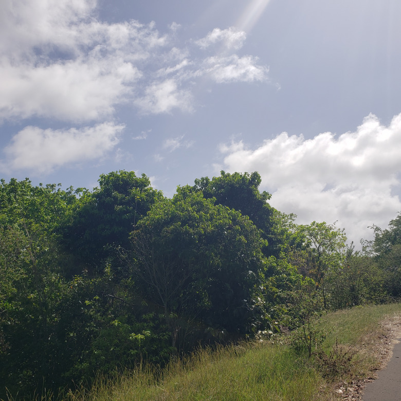 land for sale in st lucia micoud. Side By Side Lots at Ti Rocher, Micoud
