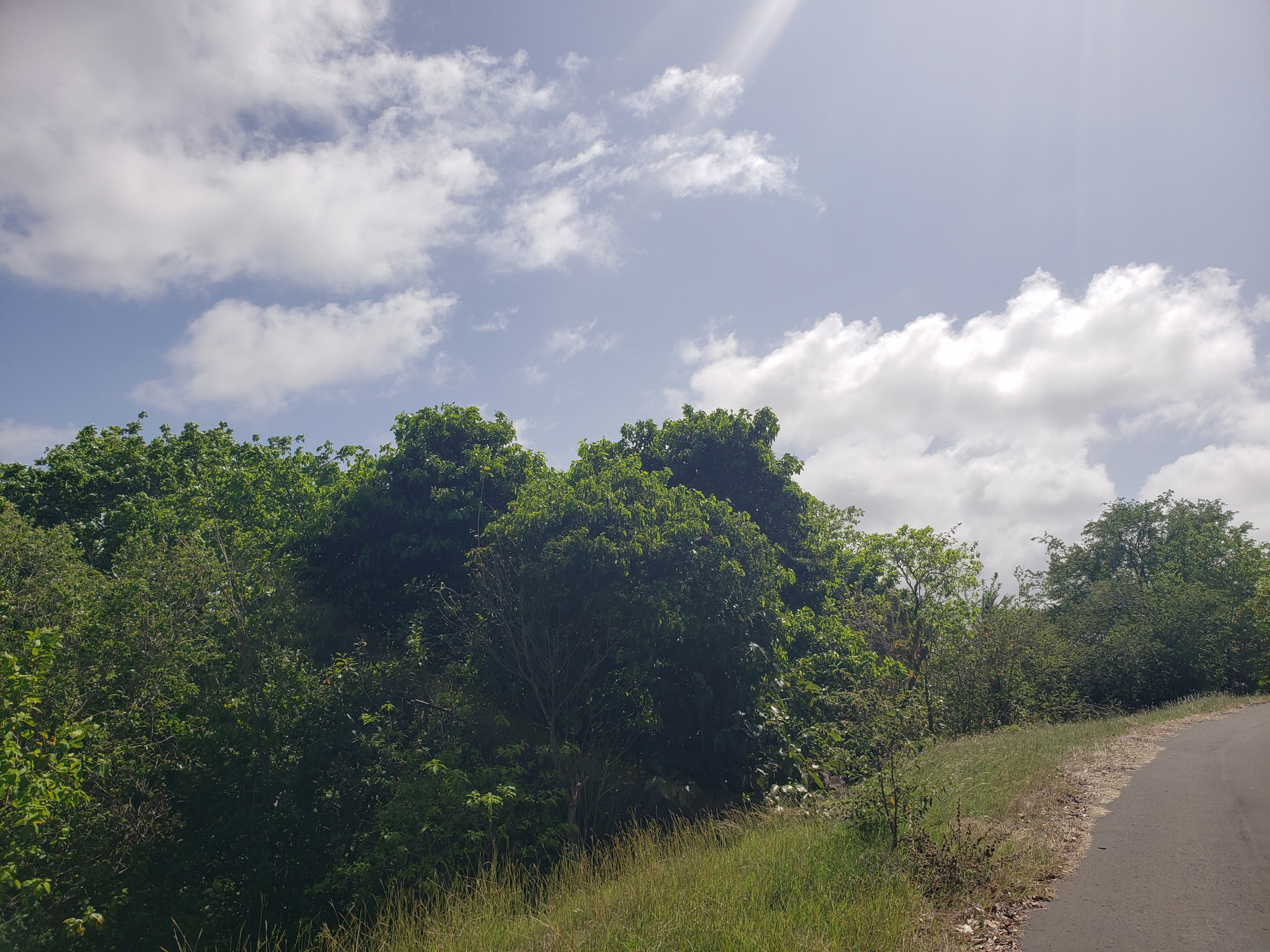 land for sale in st lucia micoud. Side By Side Lots at Ti Rocher, Micoud