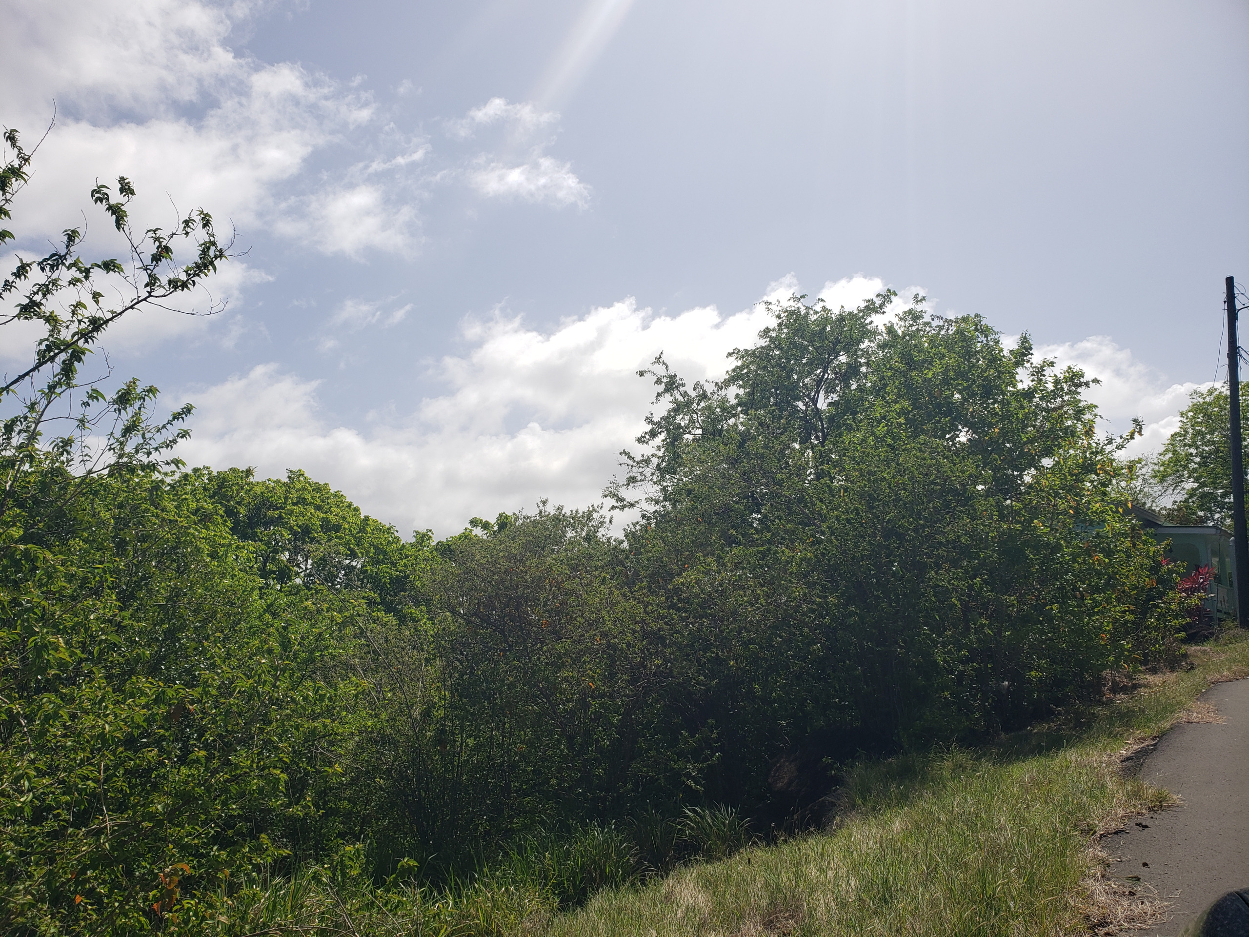 st lucia real estate Side By Side Lots at Ti Rocher, Micoud bushes