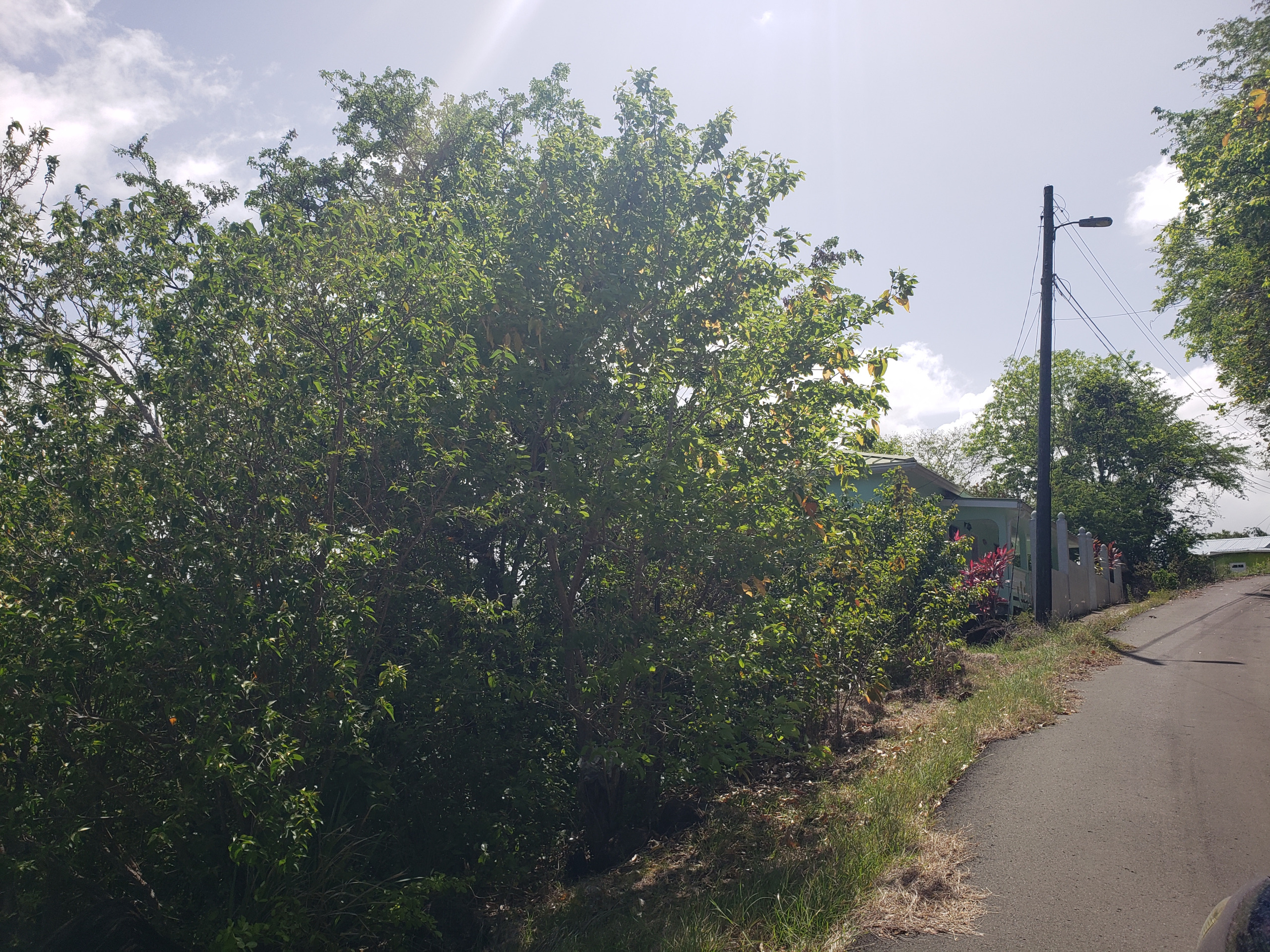 st lucia real estate micoud land