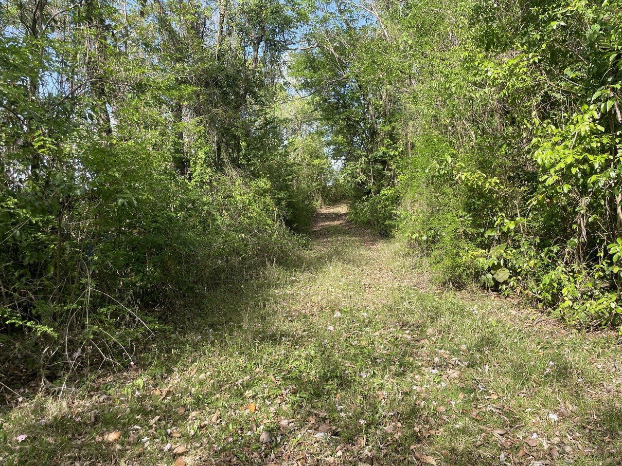 st lucia real estate Land At Bonnaire Marisule Gros Islet road