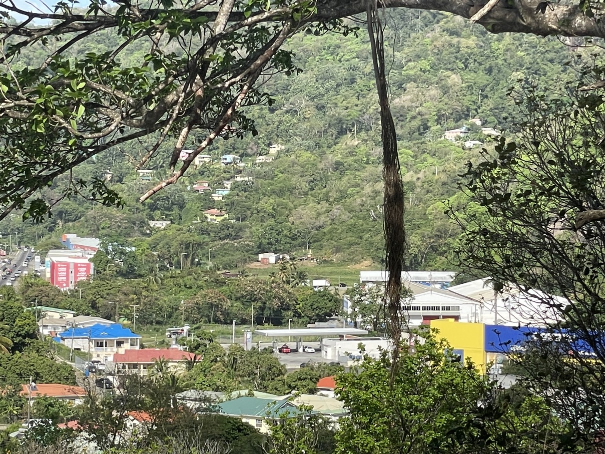 st lucia real estate Land At Bonnaire Marisule Gros Islet near couts marisule