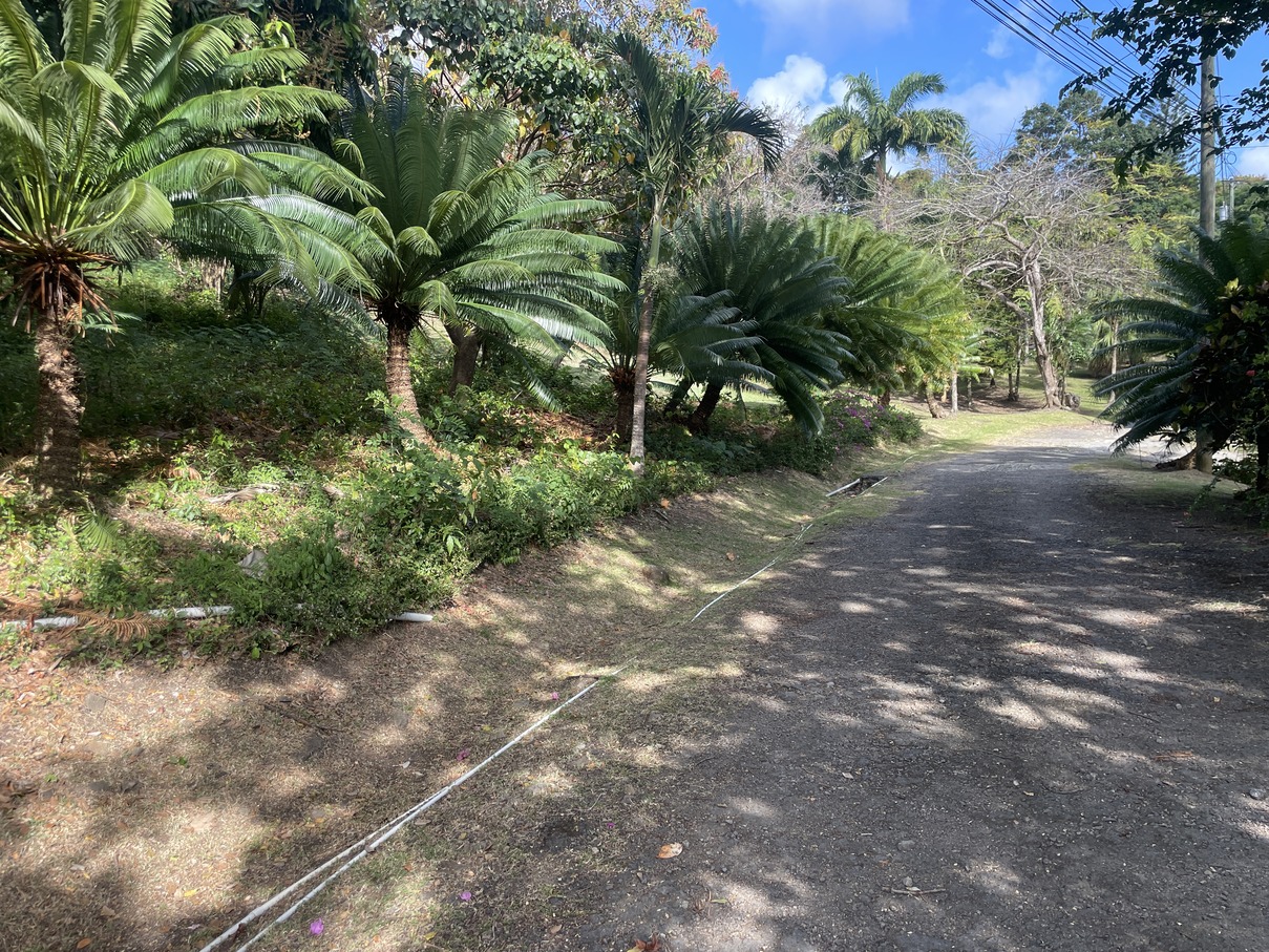 st lucia real estate Land At Bonnaire Marisule Gros Islet prime land