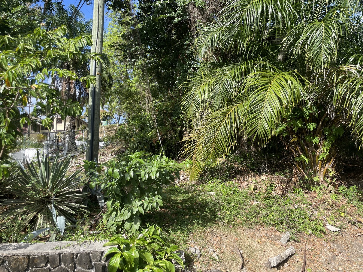 st lucia real estate Land At Bonnaire Marisule Gros Islet general are