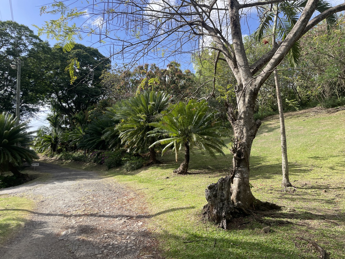 st lucia real estate Land At Bonnaire Marisule Gros Islet driveway