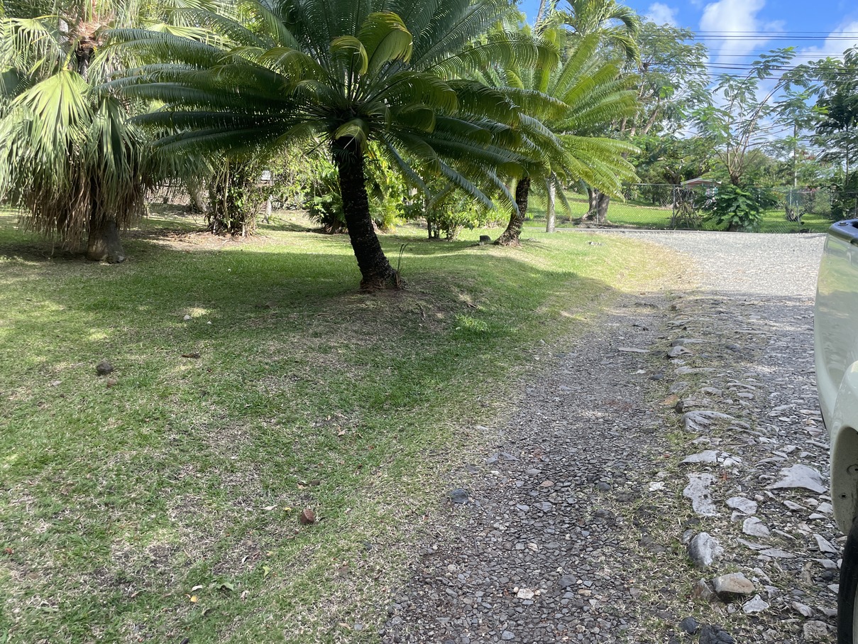 st lucia real estate Land At Bonnaire Marisule Gros Islet palms
