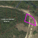 1 acre virgin resident land for sale