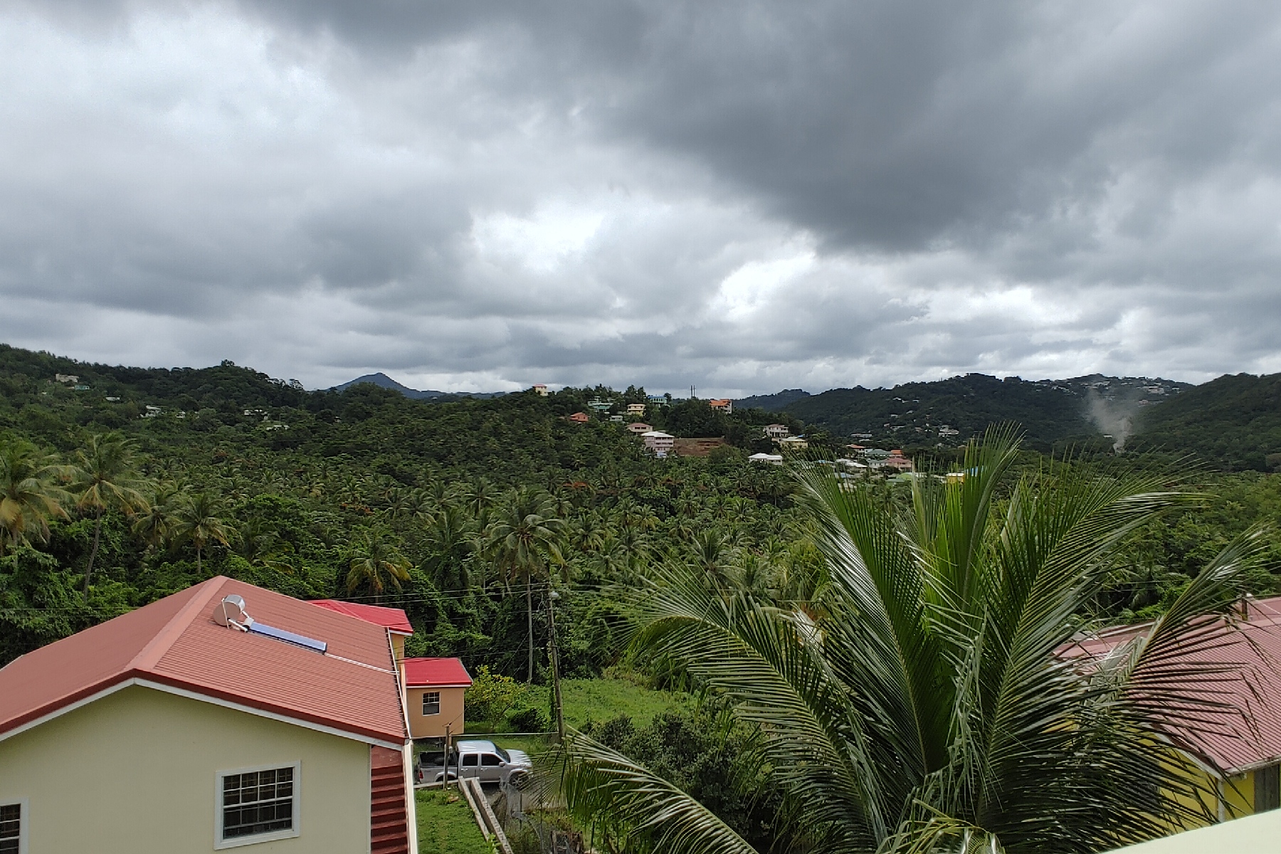 st lucia real estate 3 Bed Caribbean Home For Sale tree