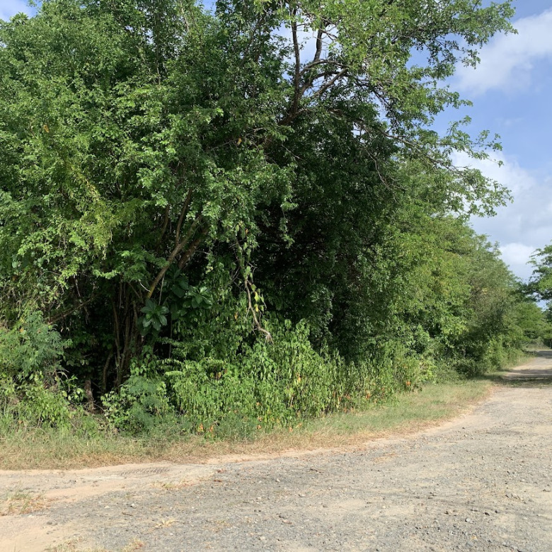 land for sale in balembouche choiseul