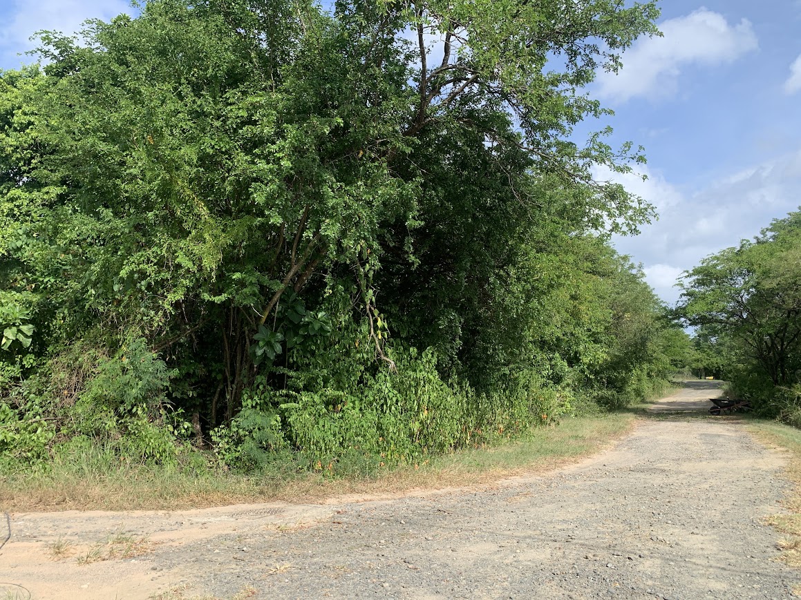 land for sale in balembouche choiseul