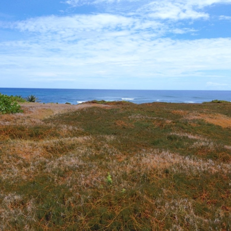 28 Acre St Lucia Beach Front Land For Sale easy to build on
